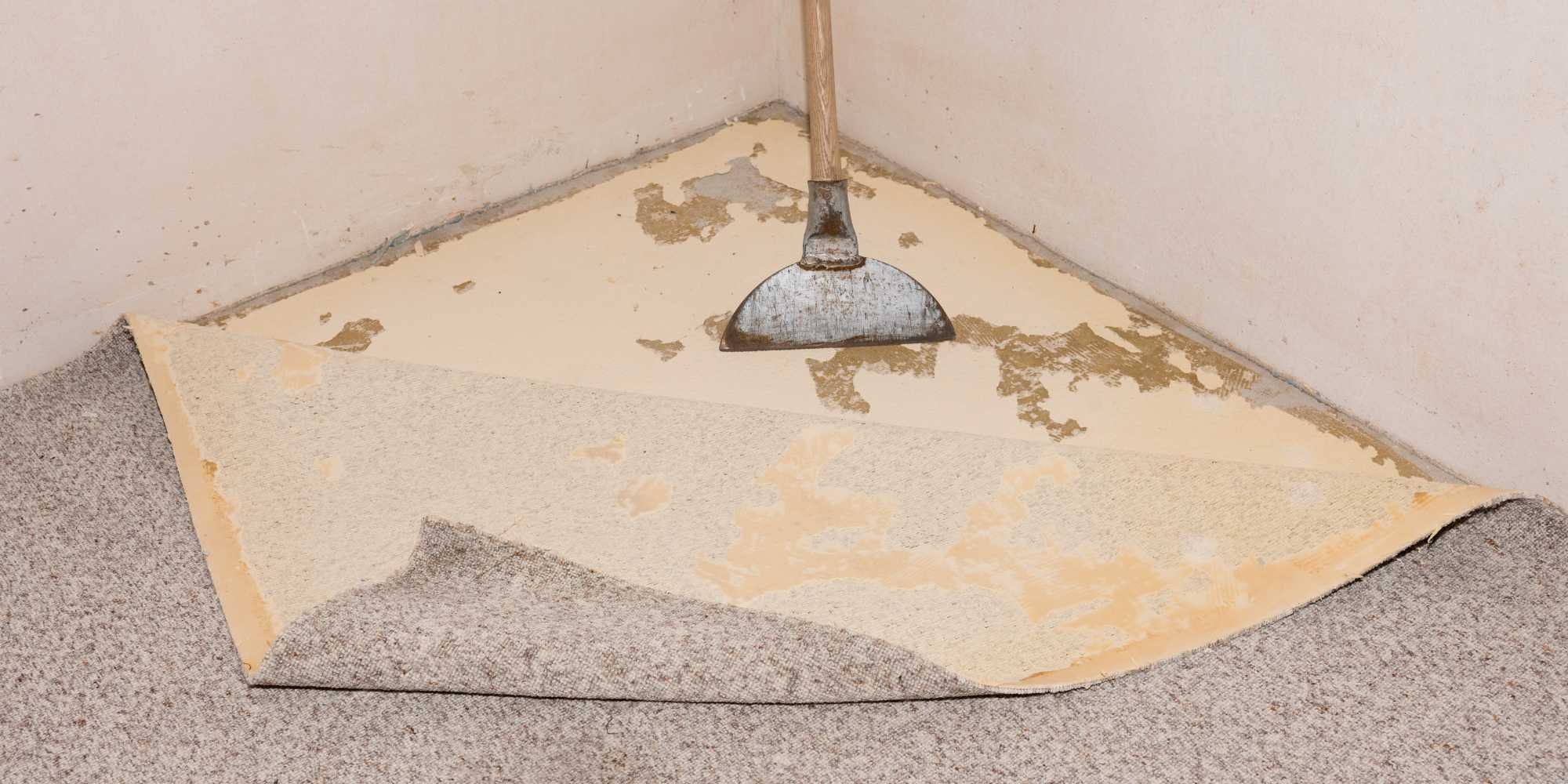 Tearing up carpet after a flood