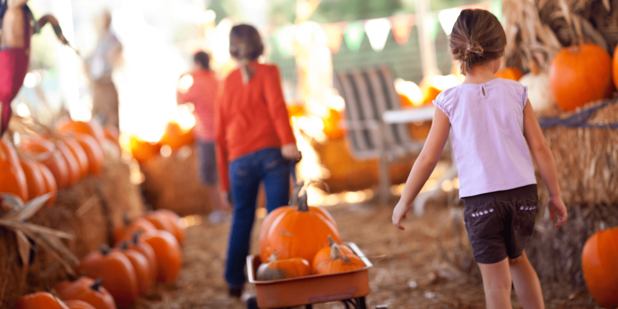 Stock Image of Kids at a Pumpkin Patch in San Antonio